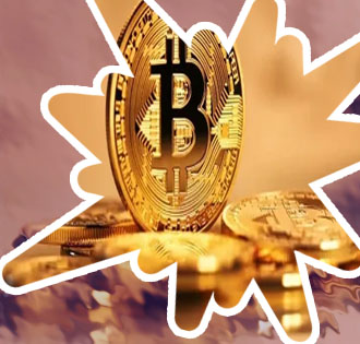 Bitcoin kaç dolar
