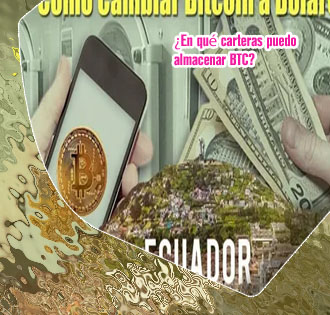 Cambio de dolar a btc