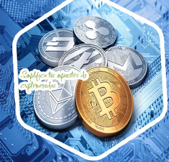 Como calcular ganancias de criptomonedas