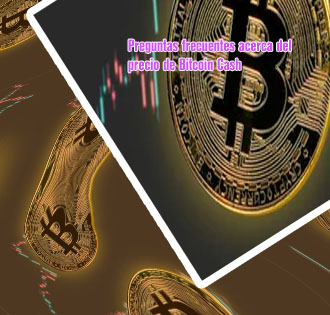 Cotizacion del bitcoin historico