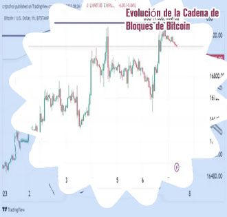 Precio de bitcoin tiempo real