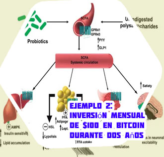 Que significa dca en criptomonedas